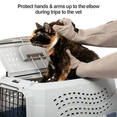 PetFusion Multipurpose Pet Grooming Gloves